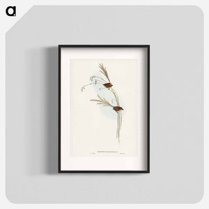 オーストラリア