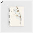 アートメモ帳-Emu Wren
 - オーストラリアの鳥 Memo.