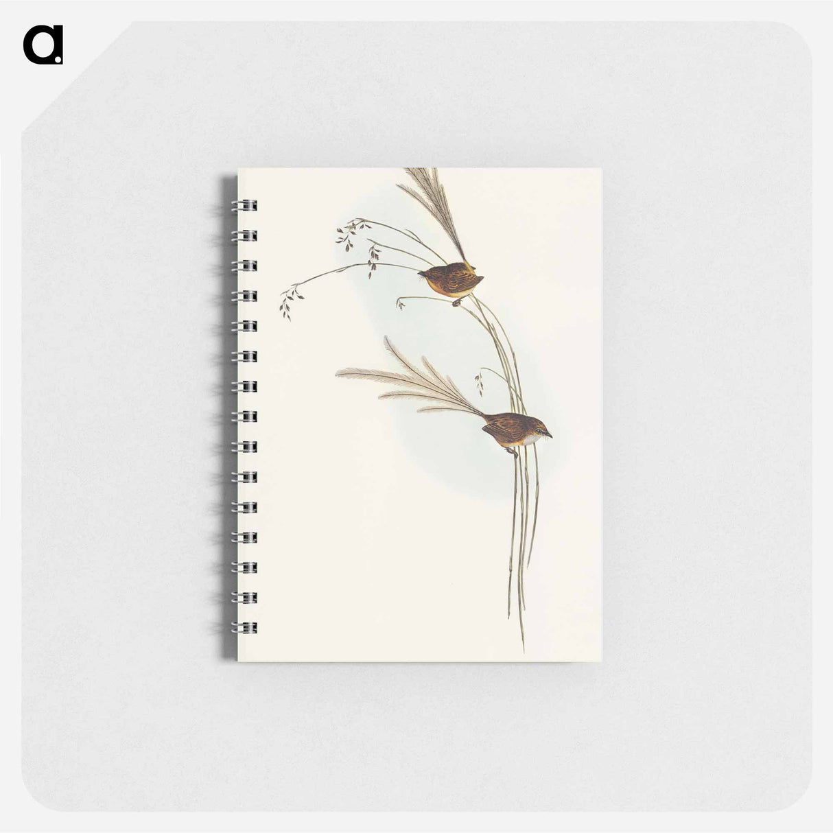 アートメモ帳-Emu Wren
 - オーストラリアの鳥 Memo.