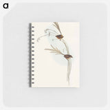アートメモ帳-Emu Wren
 - オーストラリアの鳥 Memo.
