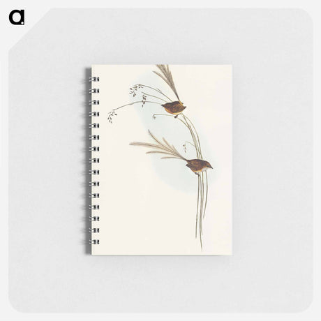 アートメモ帳-Emu Wren
 - オーストラリアの鳥 Memo.