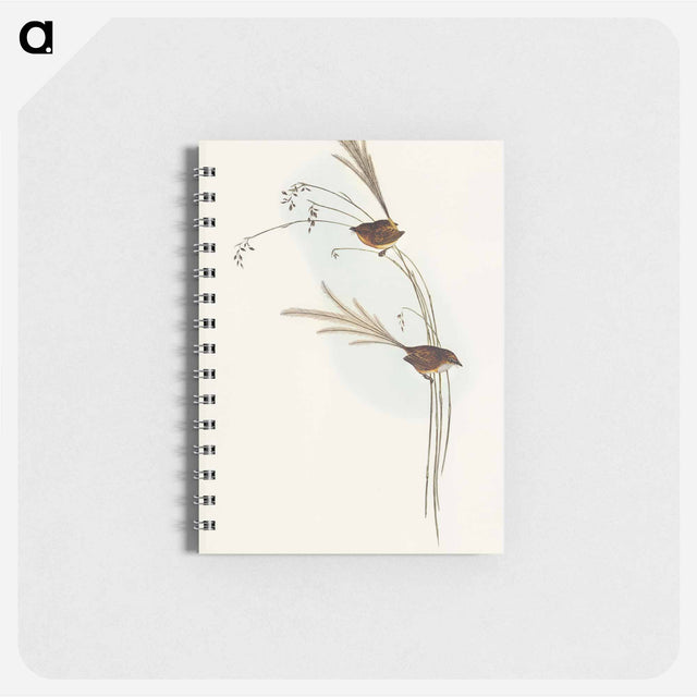 アートメモ帳-Emu Wren
 - オーストラリアの鳥 Memo.