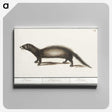 3-6_Anselmus-Boetius-de-Boodt_canvas
