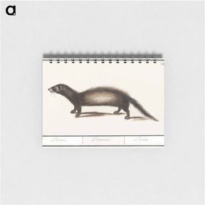 アートメモ帳-Polecat - アンセルムス ボエティウス デ ブート Memo.