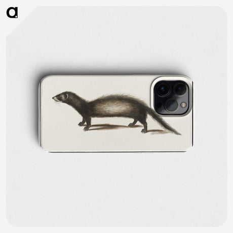 3-6_Anselmus-Boetius-de-Boodt_phone