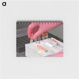 3-6_COVID-19_memo