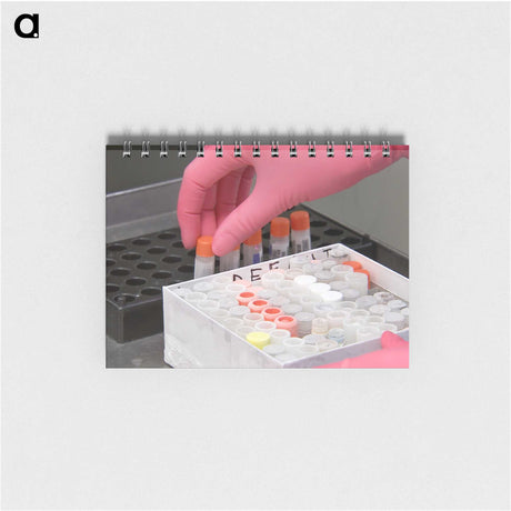 3-6_COVID-19_memo
