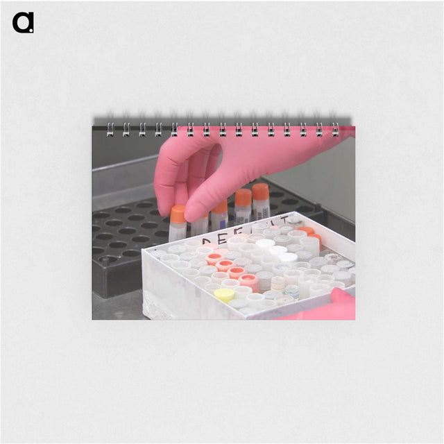 3-6_COVID-19_memo