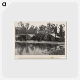 3-6_Dorothea-Lange_postcard