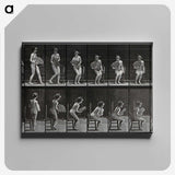 3-6_Eadweard-Muybridge_canvas