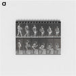 3-6_Eadweard-Muybridge_memo