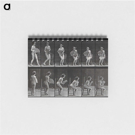 3-6_Eadweard-Muybridge_memo
