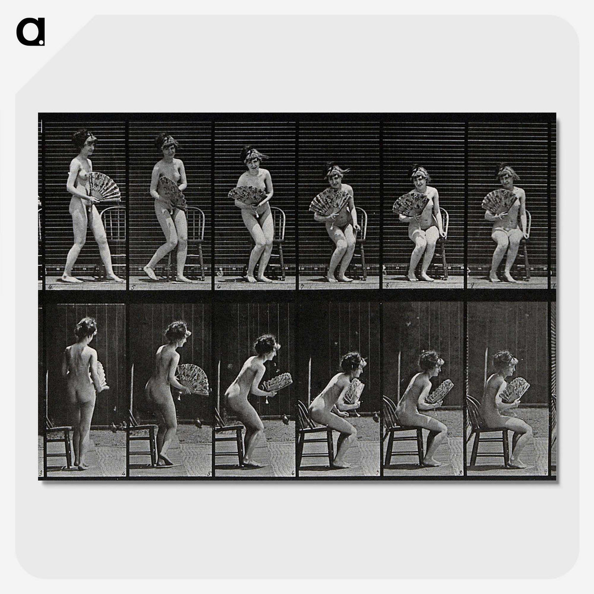 3-6_Eadweard-Muybridge_picture-crop