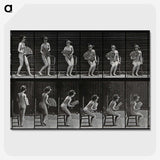 3-6_Eadweard-Muybridge_picture-crop