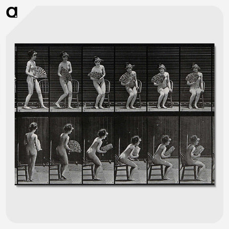 3-6_Eadweard-Muybridge_picture-crop