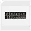 3-6_Eadweard-Muybridge_picture