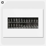 3-6_Eadweard-Muybridge_picture