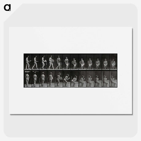 3-6_Eadweard-Muybridge_picture