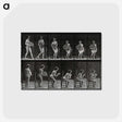 3-6_Eadweard-Muybridge_postcard