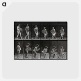 アートポストカード-Woman Fanning Herself
 - エドワード マイブリッジ Postcard.