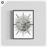 3-6_Ernst-Haeckel_blk-crop