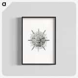 3-6_Ernst-Haeckel_blk