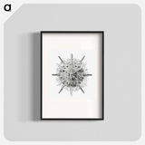 Vintage marine life illustration on white background - エルンスト ヘッケル Poster.
