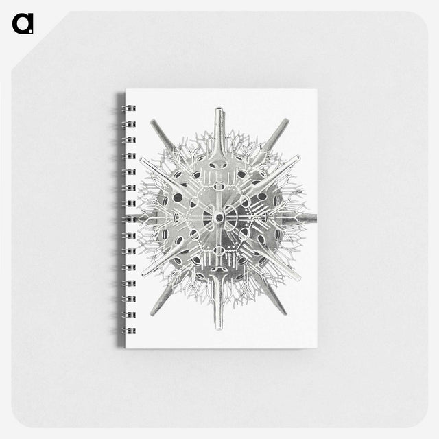3-6_Ernst-Haeckel_memo