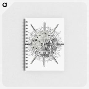 アートメモ帳-Vintage marine life illustration on white background - エルンスト ヘッケル Memo.
