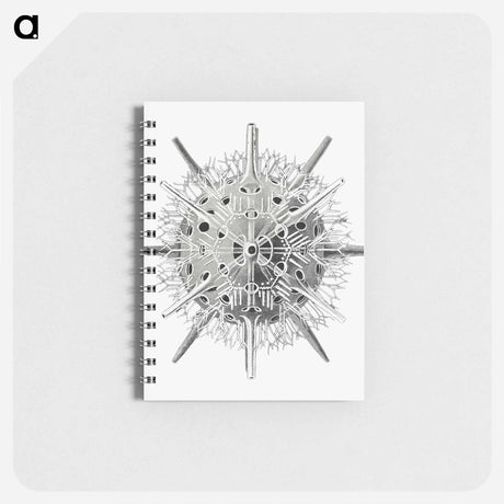 アートメモ帳-Vintage marine life illustration on white background - エルンスト ヘッケル Memo.