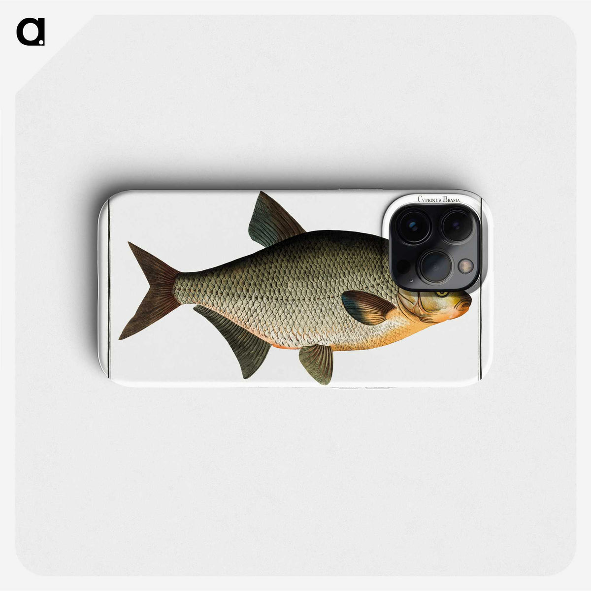 3-6_Ichtyologie-ou-Histoire-naturelle_phone