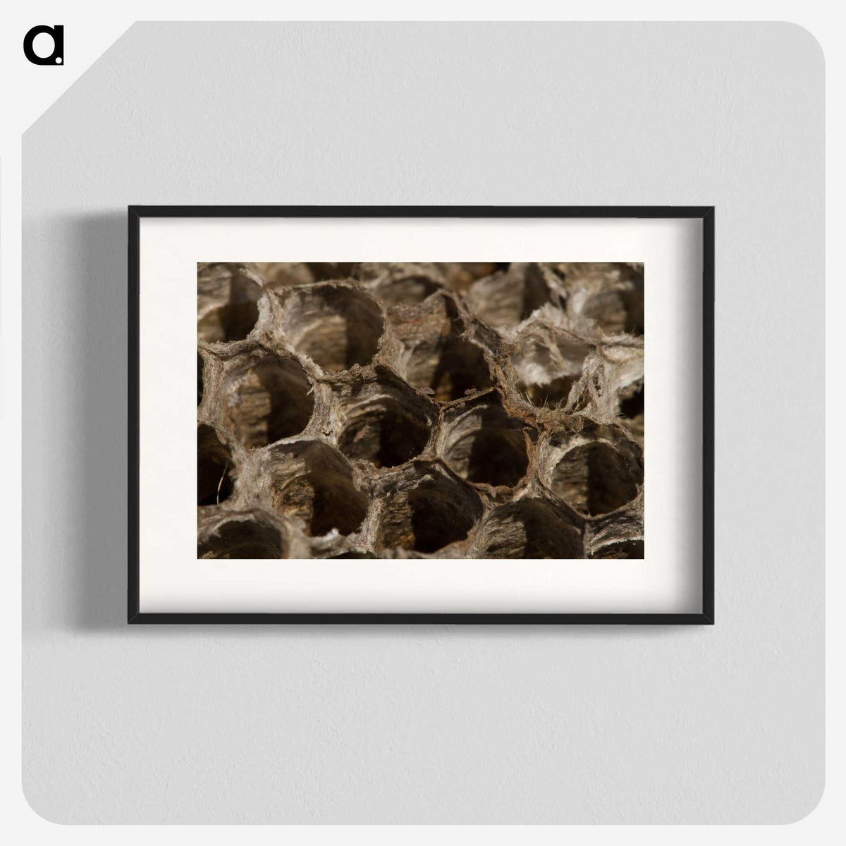 3-6_Insects-Unlocked-Project_blk