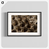 3-6_Insects-Unlocked-Project_blk