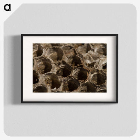 3-6_Insects-Unlocked-Project_blk