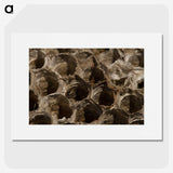 3-6_Insects-Unlocked-Project_picture