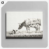 3-6_Jean-Bernard_canvas