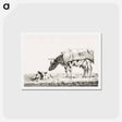 アートポストカード-Standing cow with lying calf - ジャン ベルナール Postcard.