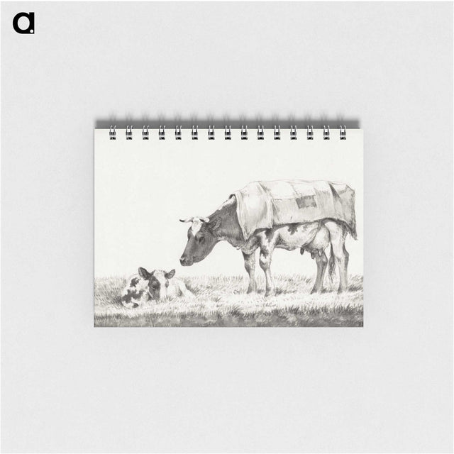 3-6_Jean-Bernard_memo