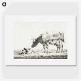 3-6_Jean-Bernard_picture