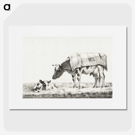 3-6_Jean-Bernard_picture