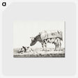 3-6_Jean-Bernard_postcard