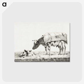 3-6_Jean-Bernard_postcard