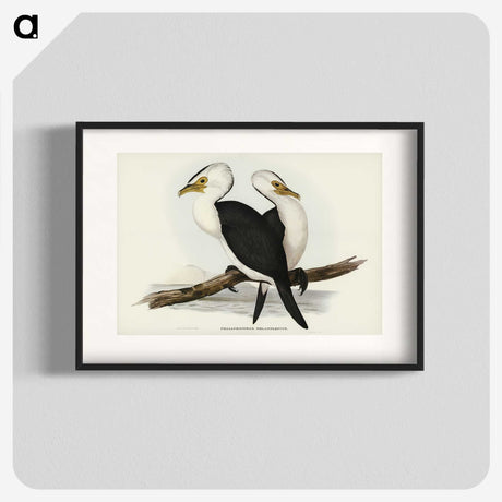 3-6_John-Gould_blk