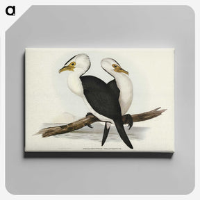 3-6_John-Gould_canvas