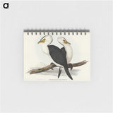 3-6_John-Gould_memo