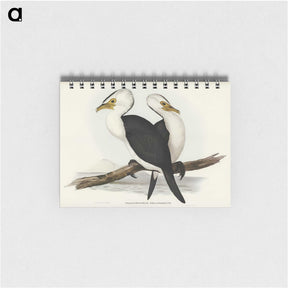 3-6_John-Gould_memo