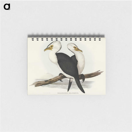 3-6_John-Gould_memo