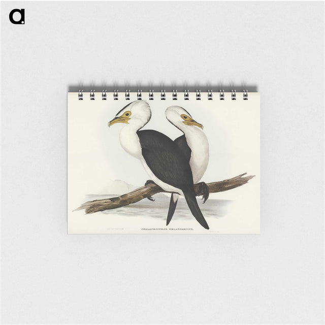 3-6_John-Gould_memo