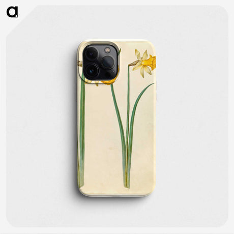 3-6_Maria-Sibylla-Merian_phone