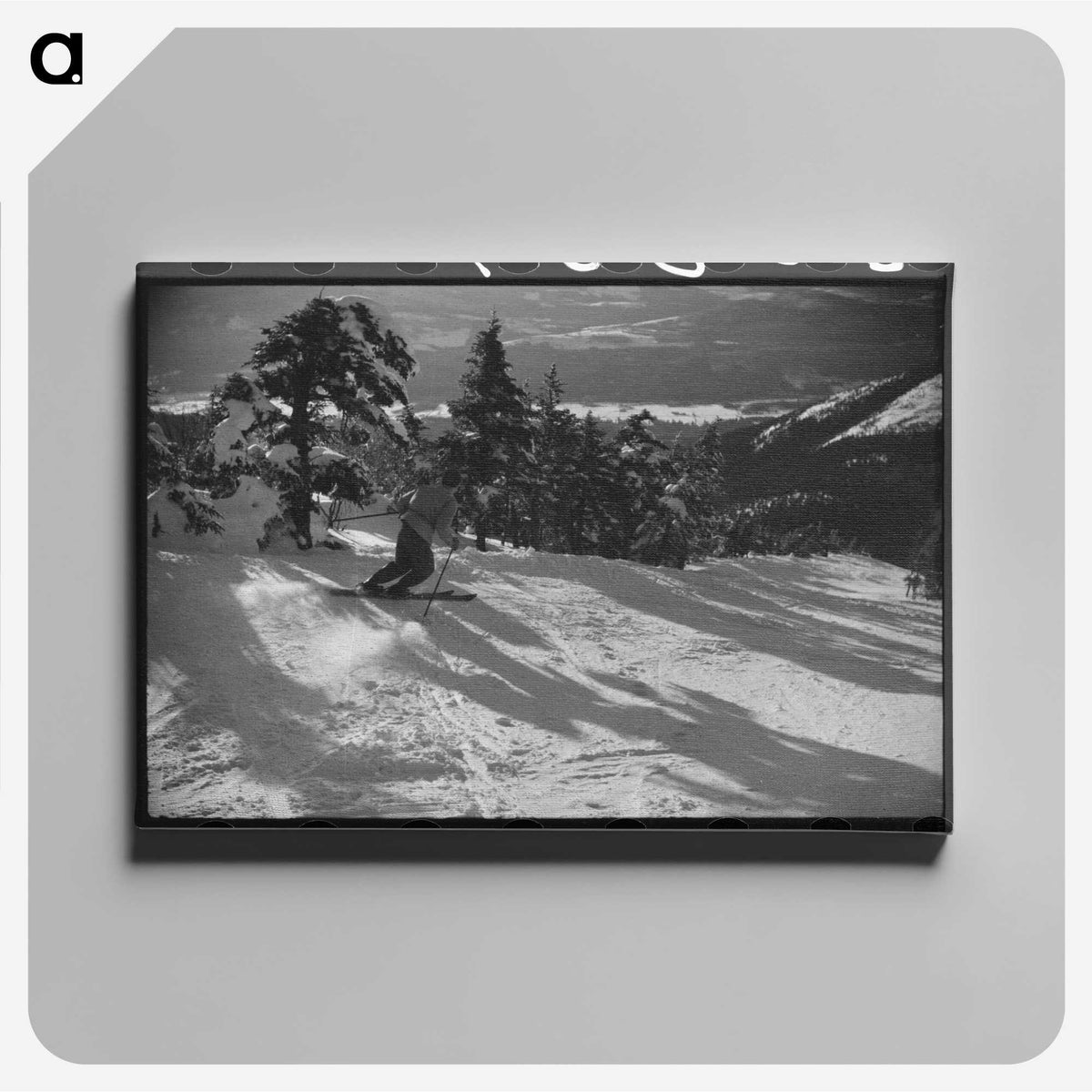 3-6_Marion-Post-Wolcott_canvas